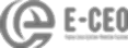 E-CEO